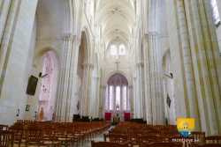 Nef de la Collégiale de Levroux Nef Collegiale