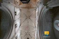 Voute Collegiale