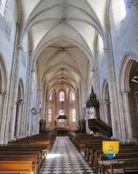 Nef collégiale de Saint-Liphard Nef Collegiale Saint Liphard