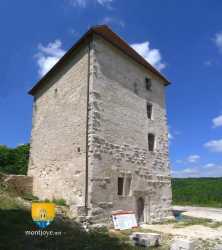 Donjon de Vignory Chateau Vignory Restauration