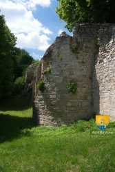 Tour de Vignory Tours