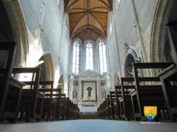 Nef Chateauneuf Sur Loire