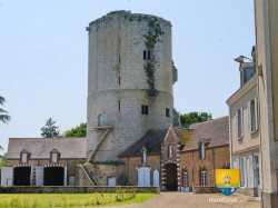 Cour Donjon Batiments Alluyes
