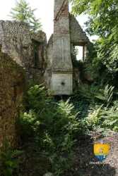 Cheminee Chateau Galifard