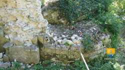 DSC04106