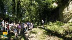 Visite Guidee