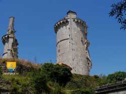 P1070538
