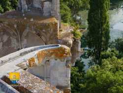 Gargouille  Chateau Mehun Yevre