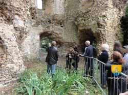 Visite Guidee