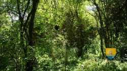 Tour Neuve Hanches Saint LucienDSC03557 13