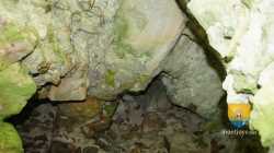 Tour Neuve Hanches Saint LucienDSC03564 2