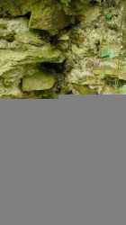 Tour Neuve Hanches Saint LucienDSC03578 7