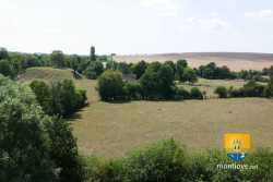 Ancienne motte féodale à proximité de la tour de Vesvre Motte Castrale Basse Cour