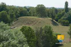 Motte Castrale