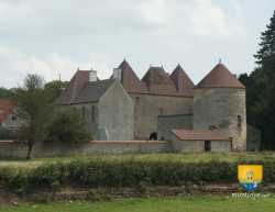 DSC 0116