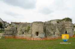 Chateau Beynes