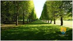 Chateau Champs Sur Marne 93 DSC02599 5