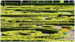 Chateau Champs Sur Marne 93 Broderie Parterre 2