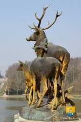 Chasse
