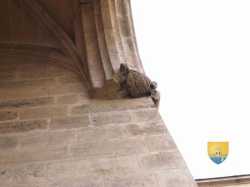 Tour Jean Peur R0015073 16