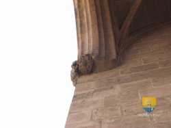 Tour Jean Peur R0015074 17