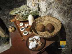 Tour Jean Peur Plantes Medicinales Moyen Age 13