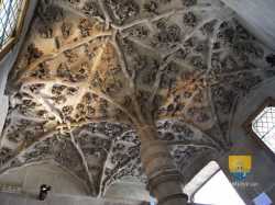 Tour Jean Peur Voute Vegetale 6