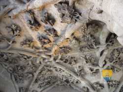 Tour Jean Peur Voute Vegetale Detail 7