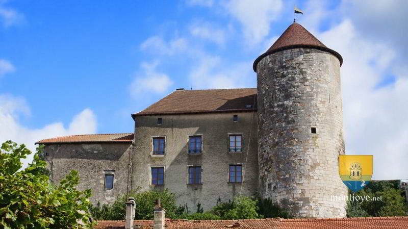 Gondrecourt le Château