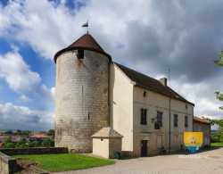Gondrecourt Le Chateau Musee Lorrain Cheval Gondrecourt Le Chateau Musee Lorrain Cheval