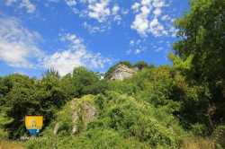 Port Mort Chateauneuf