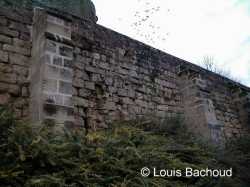Louis Bachoud (1)