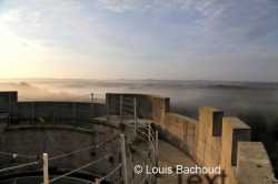 Louis Bachoud (6)