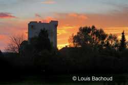 Louis Bachoud (7)