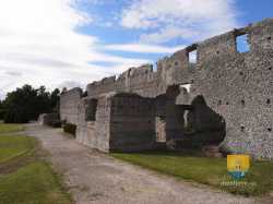 Thesee Tasciaca Site Gallo Romain  R0018492 3