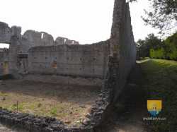 Thesee Tasciaca Site Gallo Romain  R0018494 5