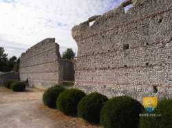 Thesee Tasciaca Site Gallo Romain  R0018495 6