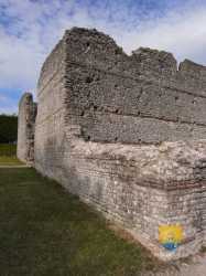 Thesee Tasciaca Site Gallo Romain  R0018498 9