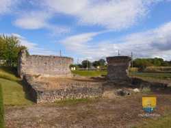 Thesee Tasciaca Site Gallo Romain  R0018499 10