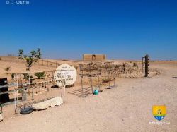 Qasr Kharana Jordanie Zarqa Governorate Qasr Al Kharaneh Gift