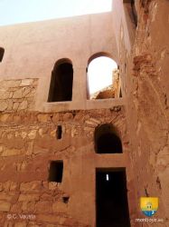 Qasr Al Kharaneh 3615