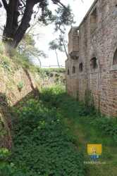 Citadelle Brehat IMG 7498 Pt 10