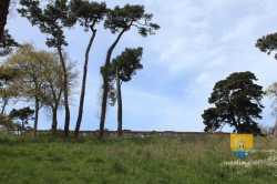 Citadelle Brehat Vue