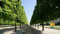 Terrasse Le Notre Allee Henri II 1