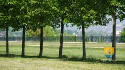 Terrasse Le Notre Perspectives Allee Arbres 45