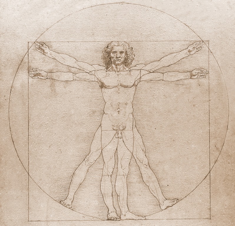 Artiste	 Léonard de Vinci Date	 Vers 14901 Type	 Texte illustré Technique	 Dessiné à la plume et au lavis Dimensions (H × L)	 34 × 26 cm