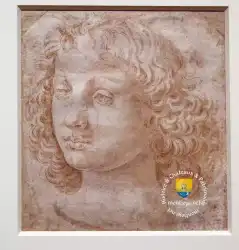 Ange Leonard De Vinci  Ange Leonard De Vinci
