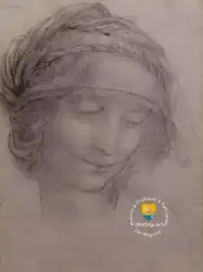 Etude Sainte Anne Visage Leonard De Vinci Detail  Etude Sainte Anne Visage Leonard De Vinci Detail