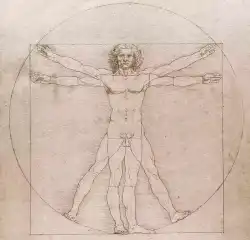 Leonard De Vinci Da Vinci Vitruve Leonard De Vinci Da Vinci Vitruve