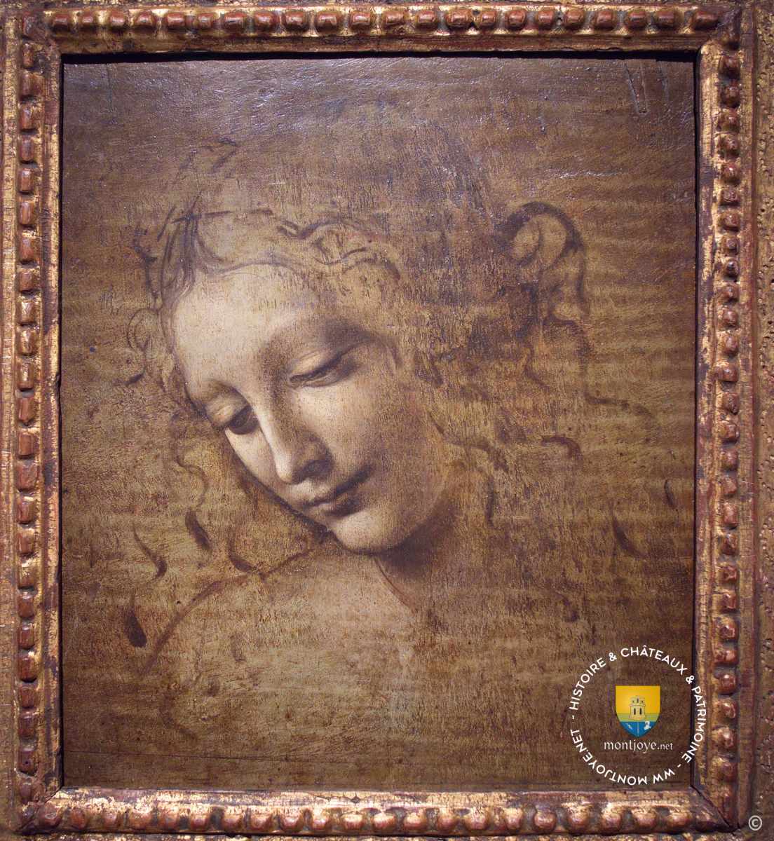 La Scapigliata (« L'Ébouriffée ») ou Tête de jeune fille, Léonard de Vinci vers 1508, conservée à la Galerie nationale de Parme en Italie.